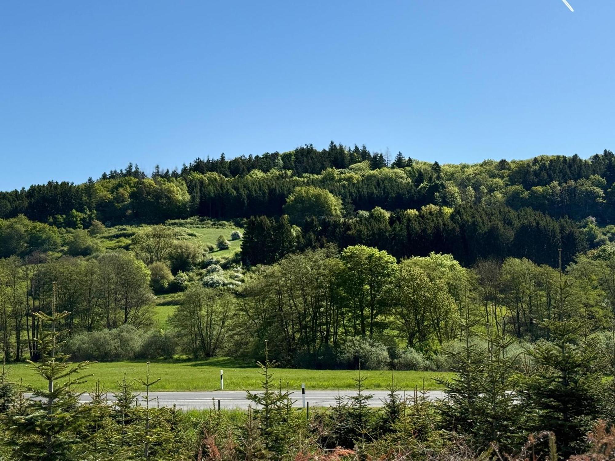 Ferienwohnung Schwarzenbergblick Kelberg Exterior foto